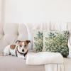 Ambesonne Eucalyptus Leaves Decorative Throw Pillow Case Pack of 2, Gloomy Love of Nature on Neutral Watercolor Art Background, Couch Bedroom Living Room Cushion Cover, 20″, Mustard and Reseda Green(Laurel Green Eggshell)