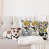 Ambesonne Eucalyptus Leaves Decorative Throw Pillow Case Pack of 2, Gloomy Love of Nature on Neutral Watercolor Art Background, Couch Bedroom Living Room Cushion Cover, 20″, Mustard and Reseda Green(Orange Blue Grey Peach)