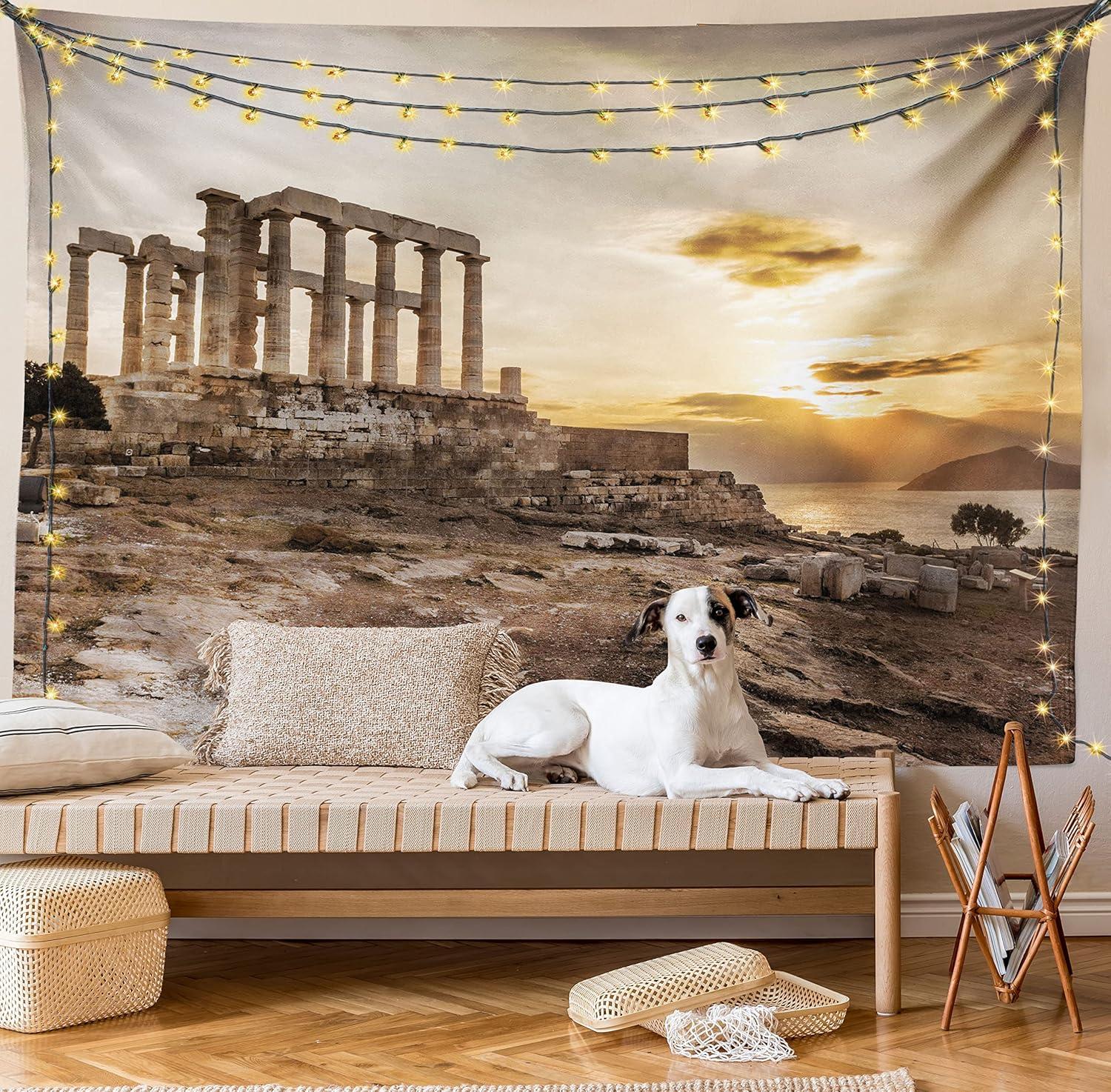 imageAmbesonne Rustic Tapestry Close Line of Poppy Petals Field Meadow Summer Holiday Sun Plant Floral Theme Wide Wall Hanging for Bedroom Living Room Dorm 60quot X 40quot Orange BrownBeige Taupe