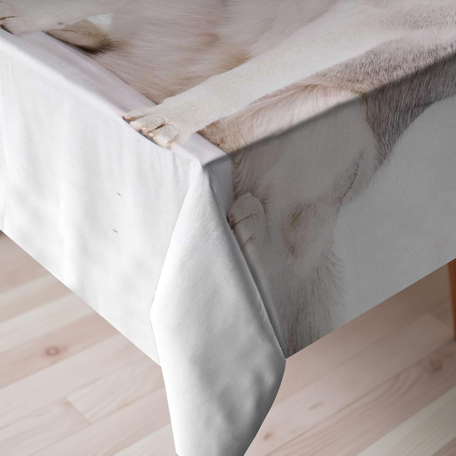 imageAmbesonne Tan and Brown Tablecloth Old Fashioned Check Plaid Pattern Scottish Tartan Inspired Geometric Design Rectangular Table Cover for Dining Room Kitchen Decor 52quot X 70quot Brown TanWhite Brown