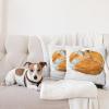 Ambesonne Animal Throw Pillow Cushion Cover, Fox Sleeping Funny Creature in Watercolor Art Design, Decorative Square Accent Pillow Case, 20″ X 20″, Apricot and White(Apricot and White)