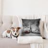 Ambesonne Animal Throw Pillow Cushion Cover, Fox Sleeping Funny Creature in Watercolor Art Design, Decorative Square Accent Pillow Case, 20″ X 20″, Apricot and White(Dark Grey)