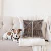 Ambesonne Animal Throw Pillow Cushion Cover, Fox Sleeping Funny Creature in Watercolor Art Design, Decorative Square Accent Pillow Case, 20″ X 20″, Apricot and White(Brown Taupe)