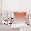 Ambesonne Animal Throw Pillow Cushion Cover, Fox Sleeping Funny Creature in Watercolor Art Design, Decorative Square Accent Pillow Case, 20″ X 20″, Apricot and White(Orange White)