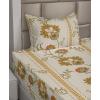 Ambesonne Butterflies Sheet Set, Watercolor Design Branches Spring Life on Neutral Colored Backdrop, Fitted and Flat Sheet with Pillowcases Bedding Accent 4 Piece Set, Queen, Pale Grey Sepia Blush(Pale Tan Dark Yellow)