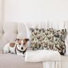 Ambesonne Classic Decorative Throw Pillow Case Pack of 2, Extravagant Hall with Oceanic and Neutral Color Details Room View Print, Couch Bedroom Living Room Cushion Cover, 18″, Coconut and Sea Blue(Amber Brown and Taupe)