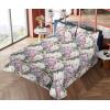 Ambesonne Meadow Vibes Sheet Set, Line Art Neutral Colors Boho Pampas Design on Geometric Back Print, Fitted and Flat Sheet with Pillowcase Bedding Accent 3 Piece Set, Twin, Pale Salmon Off White(Peacock Green Off White)