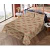 Ambesonne Meadow Vibes Sheet Set, Line Art Neutral Colors Boho Pampas Design on Geometric Back Print, Fitted and Flat Sheet with Pillowcase Bedding Accent 3 Piece Set, Twin, Pale Salmon Off White(Dusk Ruby Pistachio Green)