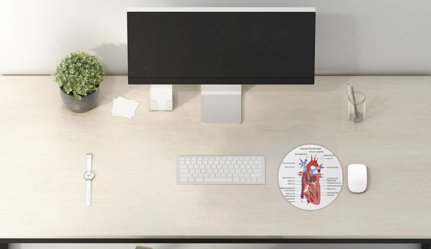 imageAmbesonne Island Computer Mouse Pad White Coral Sand Seven Mile Beach in Grand Cayman Island Art Print Rectangle NonSlip Rubber Mousepad Large 31quot x 12quot Gaming Size Sky Blue and Brown BlackCoral Lavender Blue