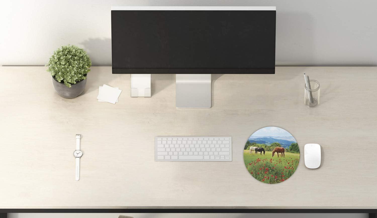 imageAmbesonne Island Computer Mouse Pad White Coral Sand Seven Mile Beach in Grand Cayman Island Art Print Rectangle NonSlip Rubber Mousepad Large 31quot x 12quot Gaming Size Sky Blue and Brown BlackGreen Brown Blue