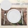 Ambesonne Christmas Place Mats Set of 8, Christmas at Countryside Theme Rustic Home Wooden Planks Borders Natural Design, Washable Fabric Placemats for Dining Table, Placemat 8 pcs, Umber Green(Umber and Green)