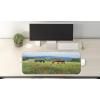 Ambesonne Island Computer Mouse Pad, White Coral Sand Seven Mile Beach in Grand Cayman Island Art Print, Rectangle Non-Slip Rubber Mousepad Large, 31″ x 12″ Gaming Size, Sky Blue and Brown Black(Green Brown Blue)