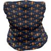 Ambesonne Unisex Multicolor Face and Neck Warmers(Heraldic Design)