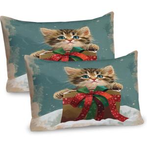 Ambesonne Christmas Pillow Sham, Funny Christmas Santa Claus and Reindeer Peeking Cartoon Style Humor, Decorative Standard Queen Size Printed Pillowcase, 30″ X 20″, Vermilion Caramel White(Cadet Blue Fawn Dark Pink)