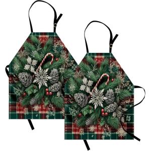 Ambesonne Multicolor Aprons(Green Grey and Ruby)
