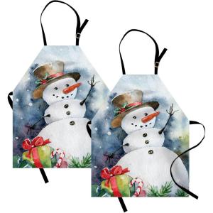 Ambesonne Multicolor Aprons(Multicolor)