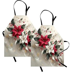 Ambesonne Multicolor Aprons(Pale Vermilion and Grey Teal)