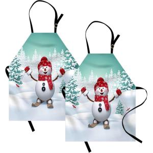 Ambesonne Multicolor Aprons(Teal Red White)
