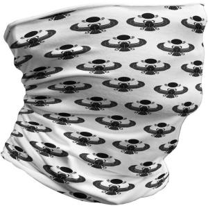 Ambesonne Unisex Multicolor Face and Neck Warmers(Beetle Bug)