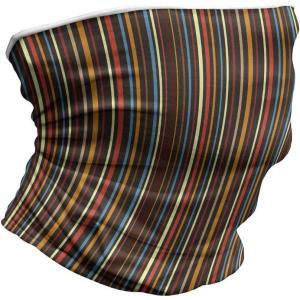 Ambesonne Unisex Multicolor Face and Neck Warmers(Colorful Vertical Lines)