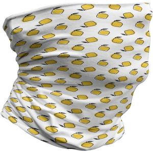 Ambesonne Unisex Multicolor Face and Neck Warmers(Doodle Lemons)