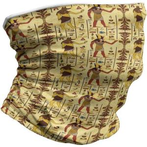Ambesonne Unisex Multicolor Face and Neck Warmers(Grunge and Retro Timeless)