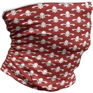 Ambesonne Unisex Multicolor Face and Neck Warmers(Heraldry)