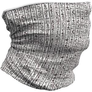 Ambesonne Unisex Multicolor Face and Neck Warmers(Hieroglyphics Language)