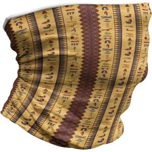 Ambesonne Unisex Multicolor Face and Neck Warmers(Hieroglyphs)