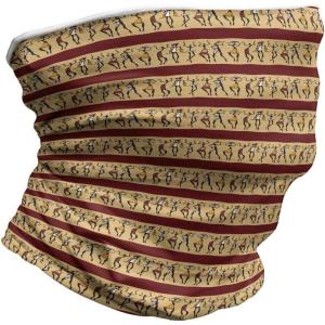 Ambesonne Unisex Multicolor Face and Neck Warmers(Native Culture)