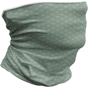 Ambesonne Unisex Multicolor Face and Neck Warmers(Retro Royal Lilies)