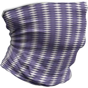 Ambesonne Unisex Multicolor Face and Neck Warmers(Vivid Chevron Zigzags)
