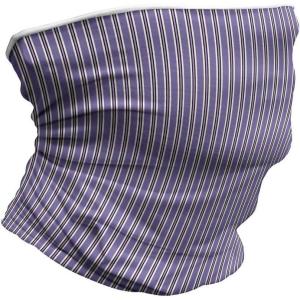 Ambesonne Unisex Multicolor Face and Neck Warmers(Winter Inspirations)