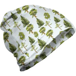 Ambesonne unisex-adult mens Beanie(Baby Blue Apple Green)