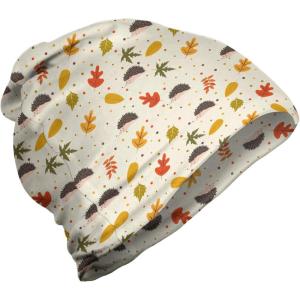 Ambesonne unisex-adult mens Beanie(Eggshell and Multicolor)