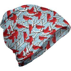 Ambesonne unisex-adult mens Beanie(Vermilion Pale Blue)