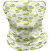 Ambesonne Unisex Multicolor Face and Neck Warmers(Cartoonish Fruit Anatomy)