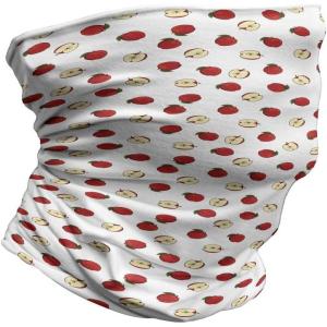 Ambesonne Unisex Multicolor Face and Neck Warmers(Vibrant Fruit Slices)