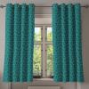 Teal Turquoise