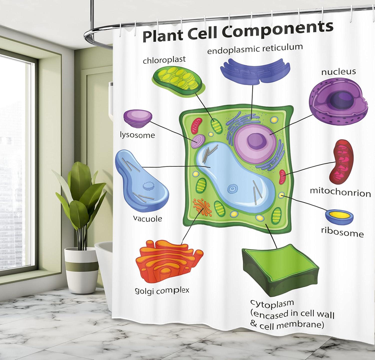 imageAmbesonne Science Shower Curtain Chart Showing Plant Cell Components in Cartoon Style Science Living Structure Cloth Fabric Bathroom Decor Set with Hooks 69 W x 70 L Green Multicolor