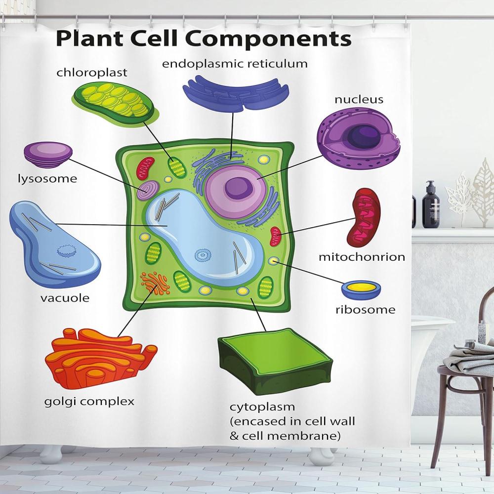 imageAmbesonne Science Shower Curtain Chart Showing Plant Cell Components in Cartoon Style Science Living Structure Cloth Fabric Bathroom Decor Set with Hooks 69 W x 70 L Green Multicolor