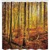 Ambesonne Cartoon Shower Curtain, Forest Secret Swing Old Tree Curly Half Moon Shaped Lamps Butterflies Print, Cloth Fabric Bathroom Decor Set with Hooks, 69″ W x 75″ L, Brown Khaki(Orange Yellow)