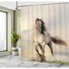 Ambesonne Cartoon Stall Shower Curtain, Happy Rubber Duck and Bubbles Pattern Theme Art, Fabric Bathroom Decor Set with Hooks, 36″ W x 72″ L, Yellow Aqua(Beige)
