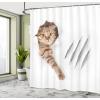 Ambesonne Cartoon Stall Shower Curtain, Happy Rubber Duck and Bubbles Pattern Theme Art, Fabric Bathroom Decor Set with Hooks, 36″ W x 72″ L, Yellow Aqua(White Brown)