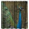 Ambesonne Manly Shower Curtain, Cartoon Hot-Rod Truck Antique Old Model Automobile Transport Nostalgia Illustration, Cloth Fabric Bathroom Decor Set with Hooks, 69″ W x 70″ L, Orange Black(Brown Green)