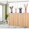 Ambesonne Cartoon Shower Curtain, Jolly Frog with Greater Eye Lizard Gecko Smily Childish Funny Cartoon Artwork, Cloth Fabric Bathroom Decor Set with Hooks, 69″ W x 70″ L, Green Fern(Brown White)