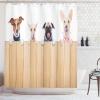 Ambesonne Cartoon Shower Curtain, Jolly Frog with Greater Eye Lizard Gecko Smily Childish Funny Cartoon Artwork, Cloth Fabric Bathroom Decor Set with Hooks, 69″ W x 70″ L, Green Fern(Brown White)