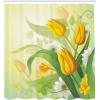 Ambesonne Floral Shower Curtain, Curved Flower Leaf Ornate Blooming Branches Romantic Love Print Art, Cloth Fabric Bathroom Decor Set with Hooks, 69″ W x 70″ L, Pale Tan(Yellow Green)