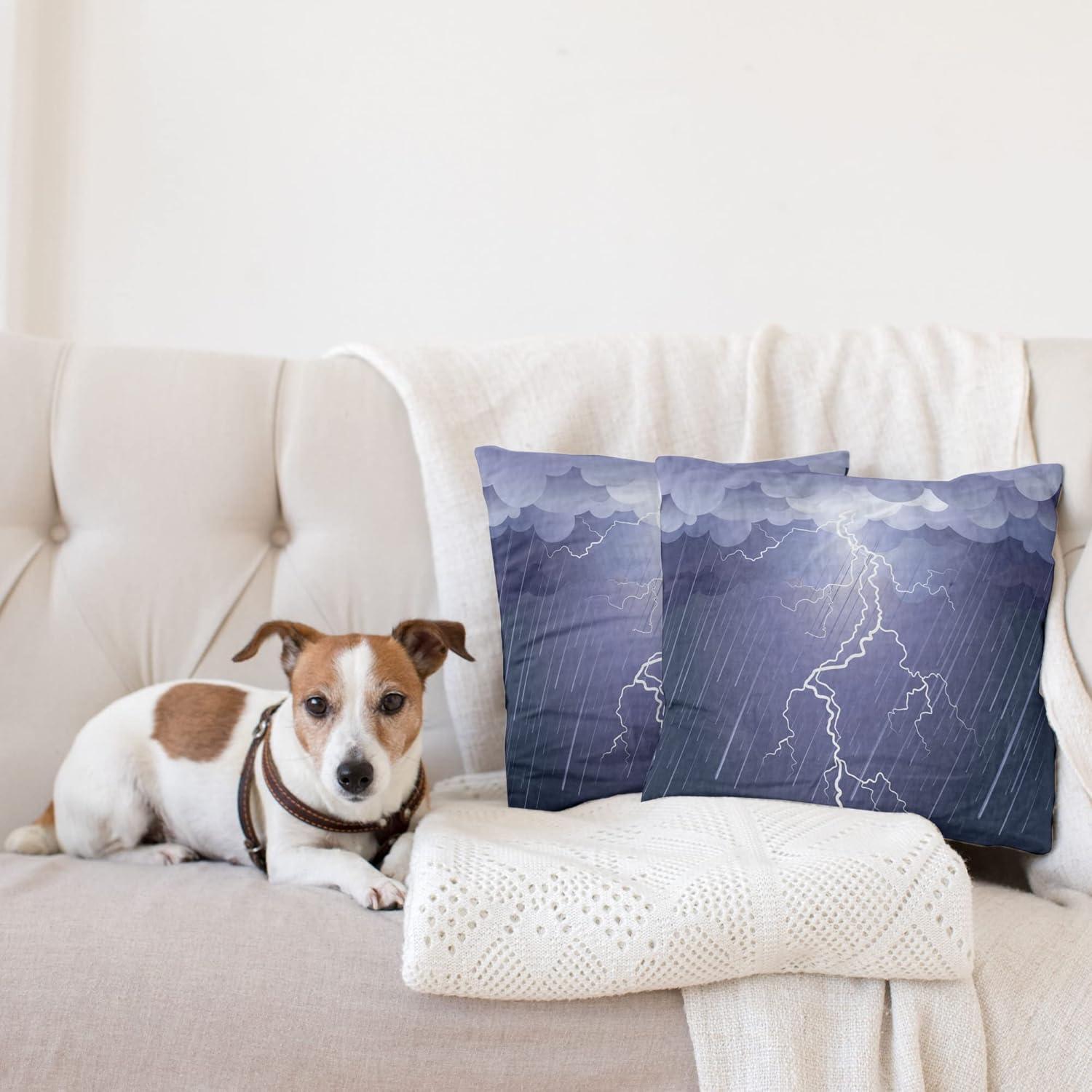 imageAmbesonne Night Decorative Throw Pillow Case Pack of 2 Lightning Strike Thunderstorm in The Air at Dark Night Rainy Electric Force Bolts Image Couch Bedroom Living Room Cushion Cover 18 Lavander