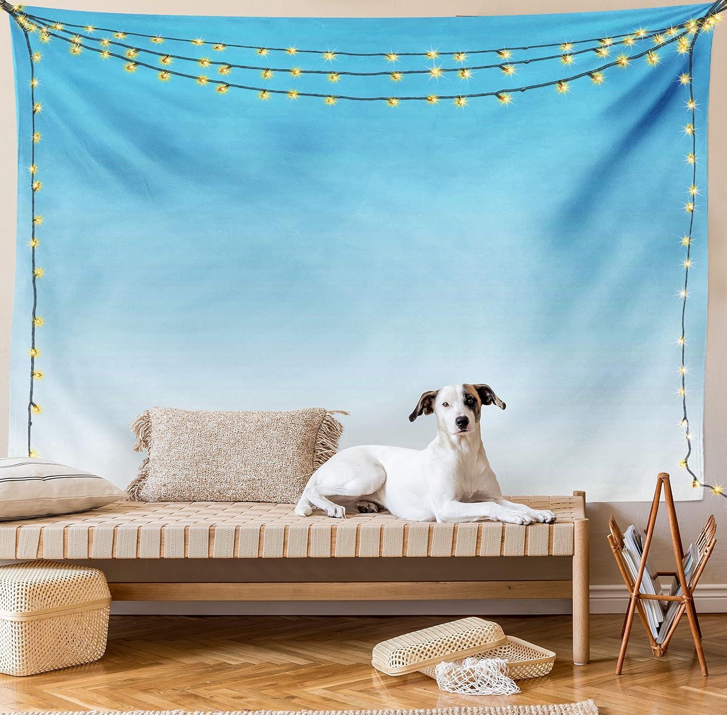 imageAmbesonne Ombre Tapestry Skyscapee in the Spring View Tropical Blue Inspired Vivid Colored Modern Design Print Wide Wall Hanging for Bedroom Living Room Dorm 80 X 60 Blue White